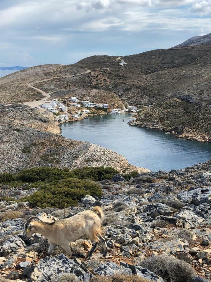Sifnos Sea Lovers Cherronisos (Sifnos)